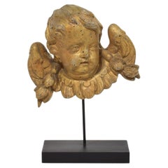 French 18th Century Hand Carved  Baroque Winged Angel Head