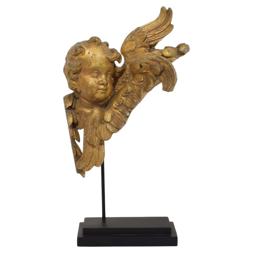 Français du 18ème siècle sculpté à la main  Tête d'ange ailée baroque