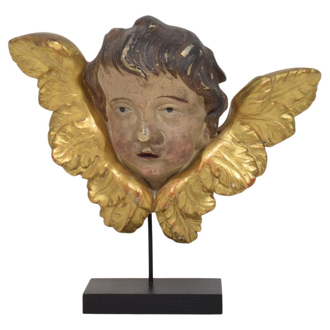French 18th Century Hand Carved Baroque Winged Angel Head
