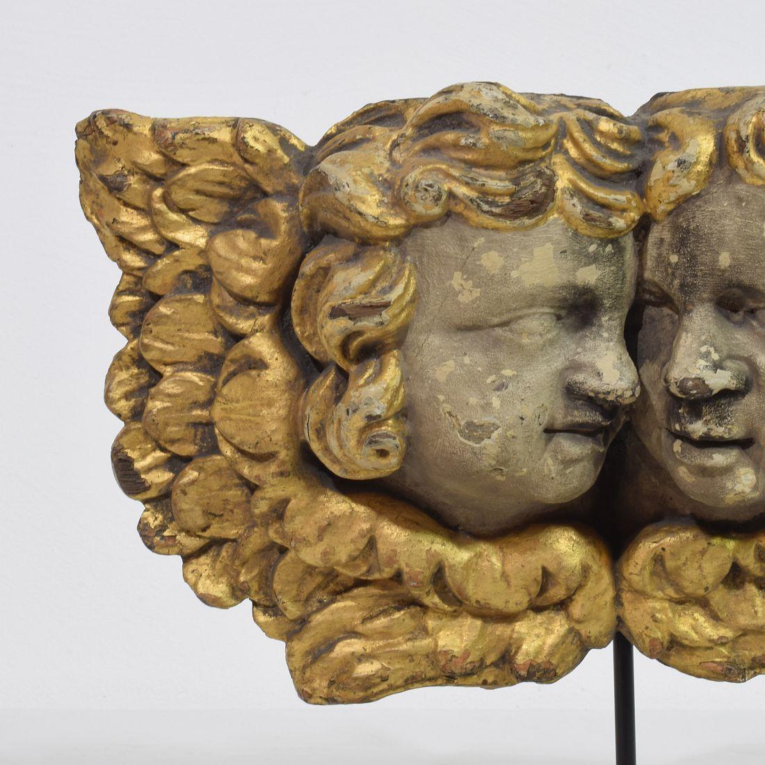 French 18th Century Hand Carved  Baroque Winged Angel Heads 2