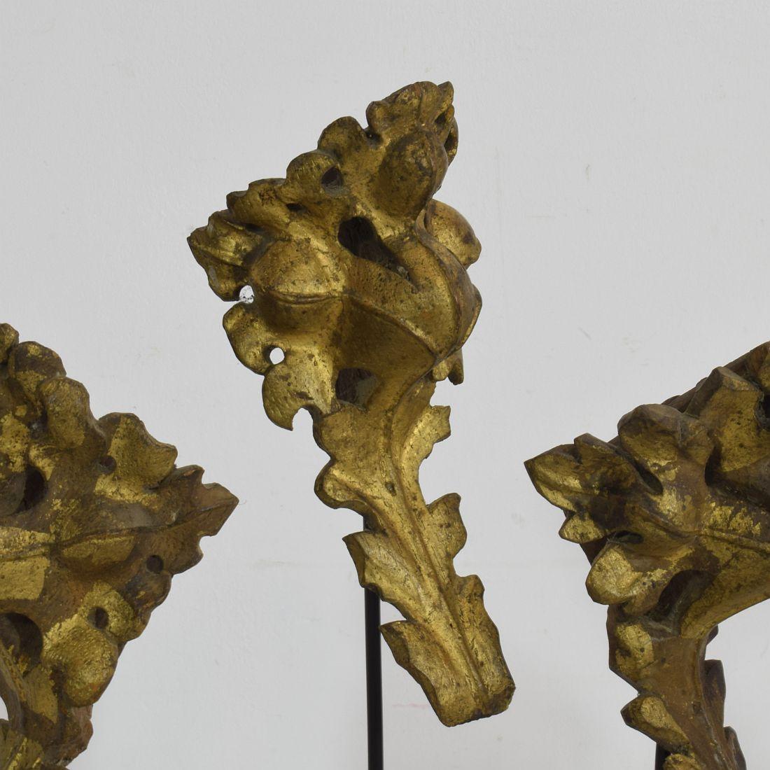 French 18th Century Hand Carved Oak Ornaments 4