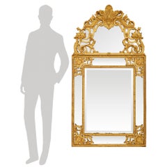 French 18th century Louis XIV Period Giltwood mirror