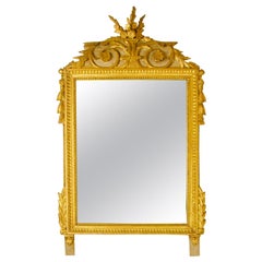 Espejo de pared o trumeau francés de madera dorada Luis XVI del siglo XVIII
