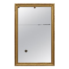 Antique French 18th Century Louis XVI Period Giltwood Mirror