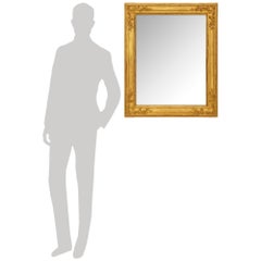 French 18th century Louis XVI st. Giltwood mirror