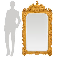 French 18th Century Provincial Regence Period Giltwood Mirror