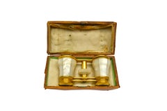French 19th Century Mother-of-Pearl and Bronze Opera Glasses in Original Case