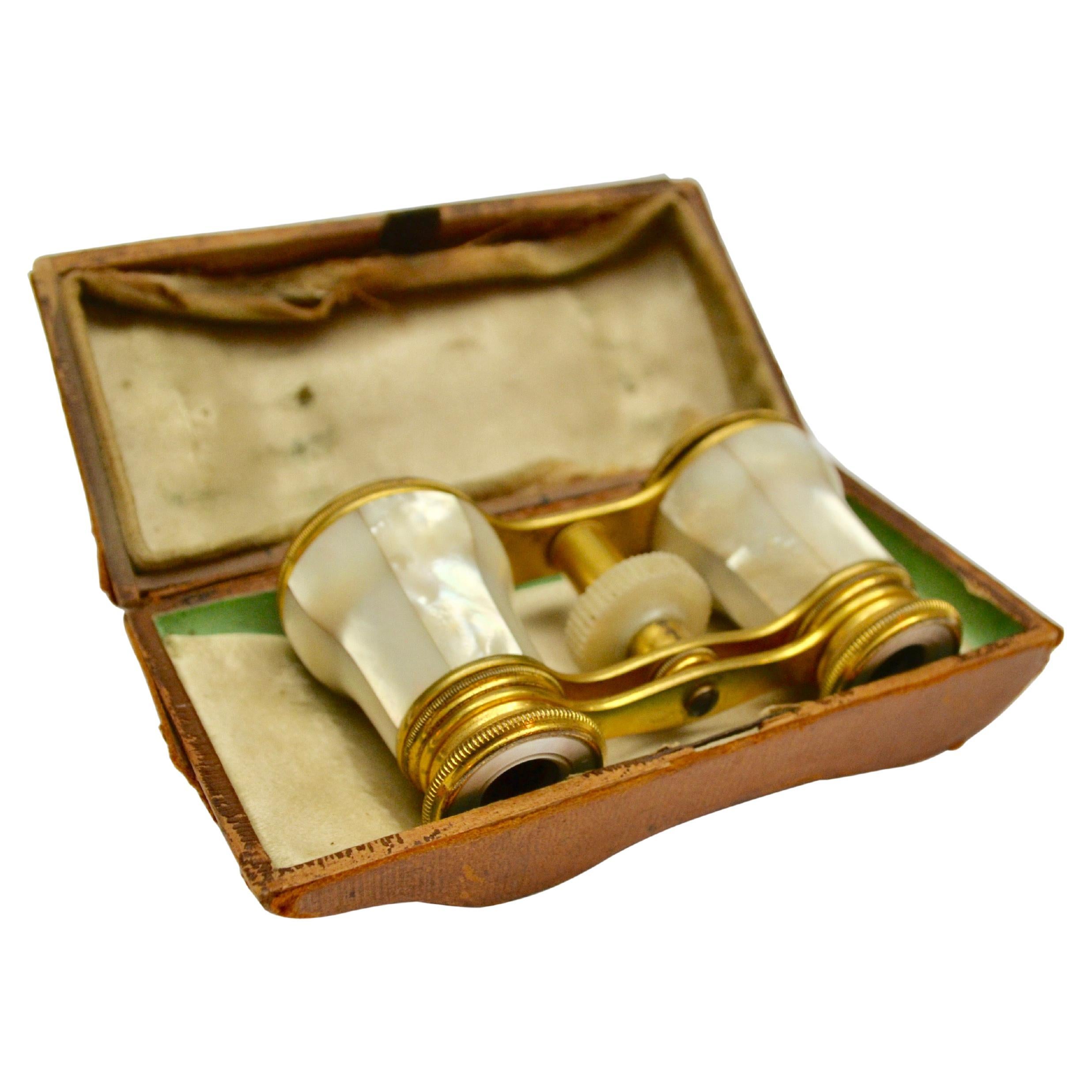 French 19th Century Mother-of-Pearl and Bronze Opera Glasses in Original Case