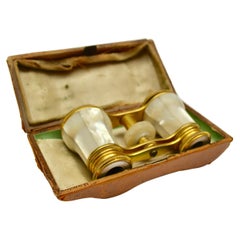 Antique French 19th Century Mother-of-Pearl and Bronze Opera Glasses in Original Case