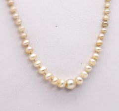 French 1900 Edwardian Natural Pearls Necklace In 18Kt Gold With Diamonds & Ruby