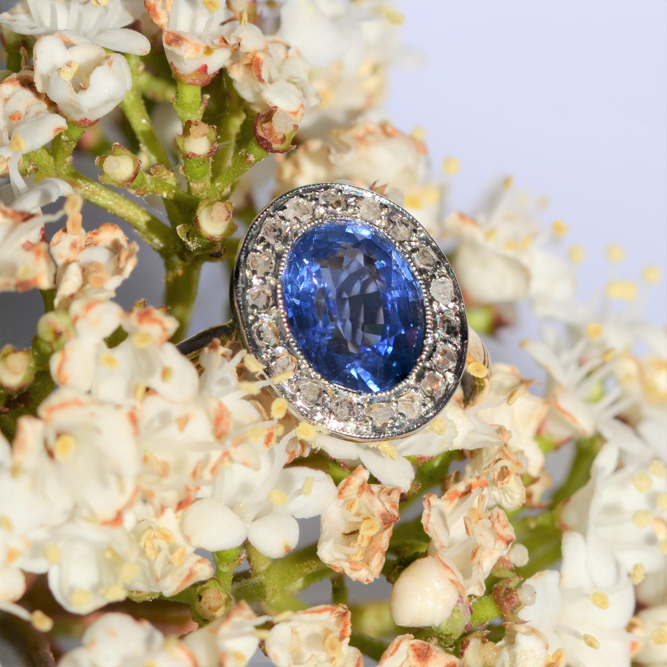 French, 1900s, Sapphire Diamond 18 Karat Yellow Gold Engagement Cluster Ring For Sale 6