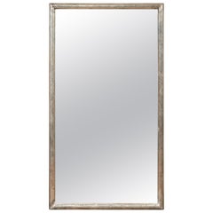 French 1900s Silver Leaf Rectangular Mirror with Weathered Patina