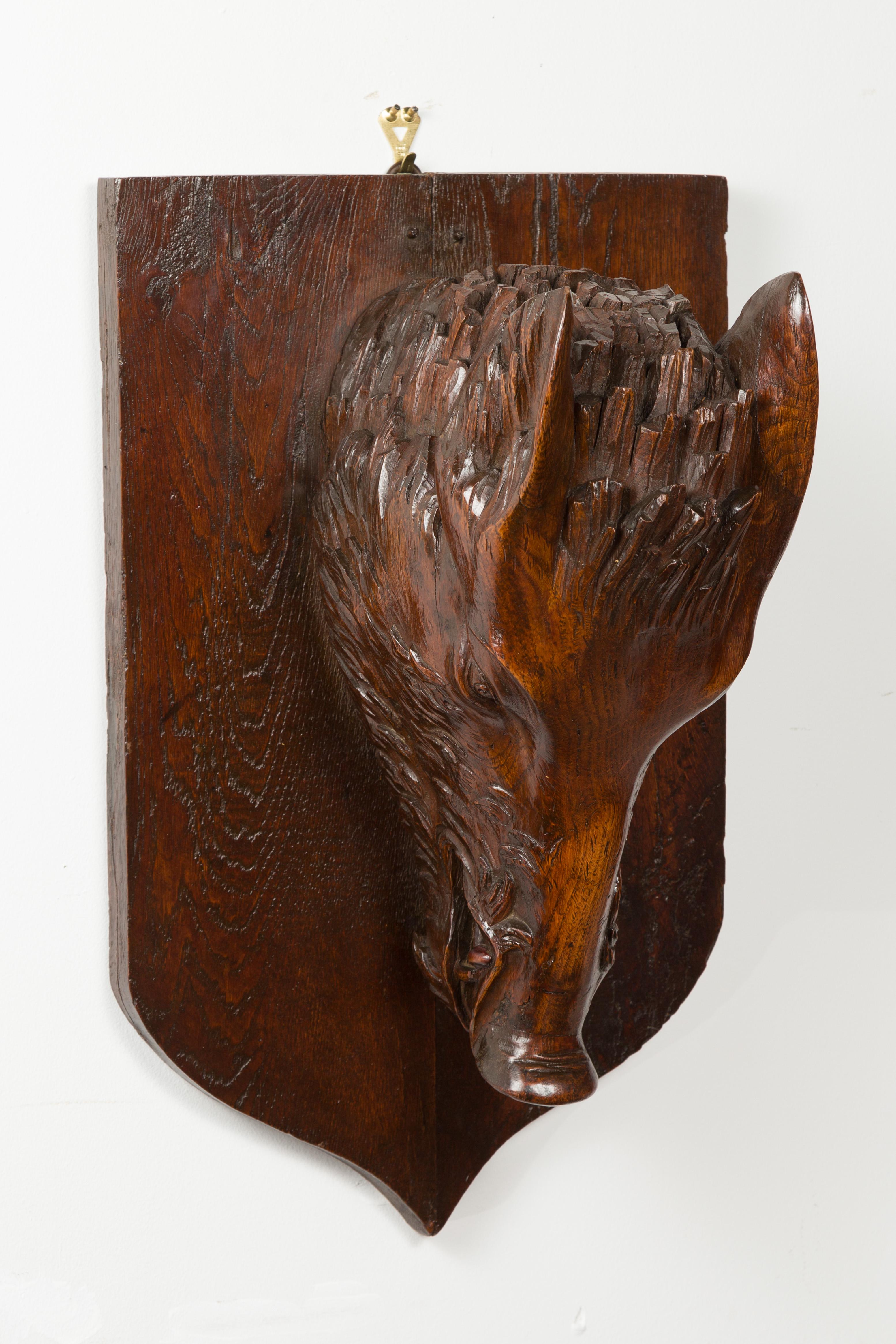 A French carved wooden boar's head from the early 20th century, on shield back. Created in France during the first quarter of the 20th century, this mounted sculpture depicts a boar's head carved to be seen from below. Showcasing nice details and