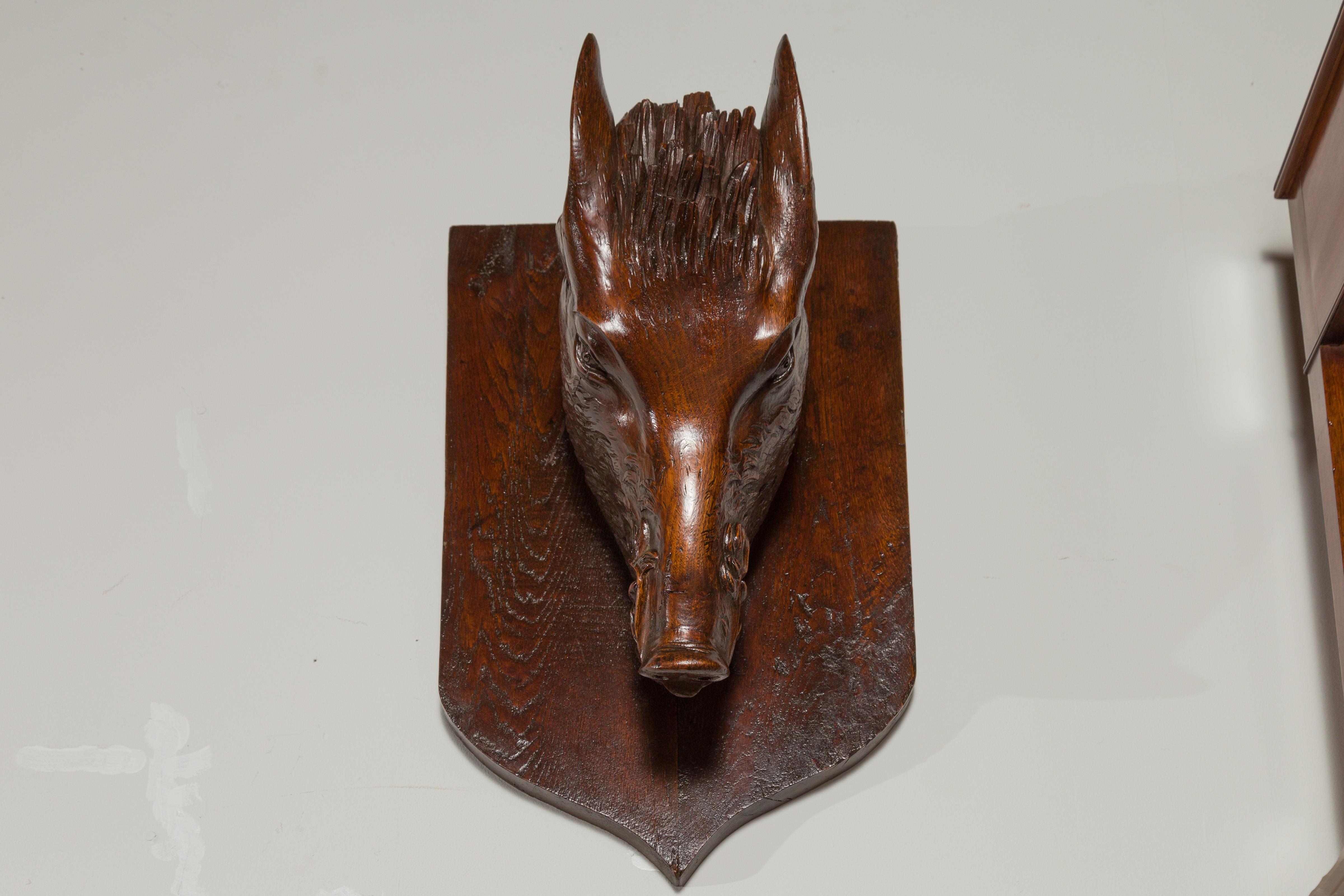 Hand-Carved French 1920s Carved Wooden Boar's Head on Shield Shaped Back For Sale