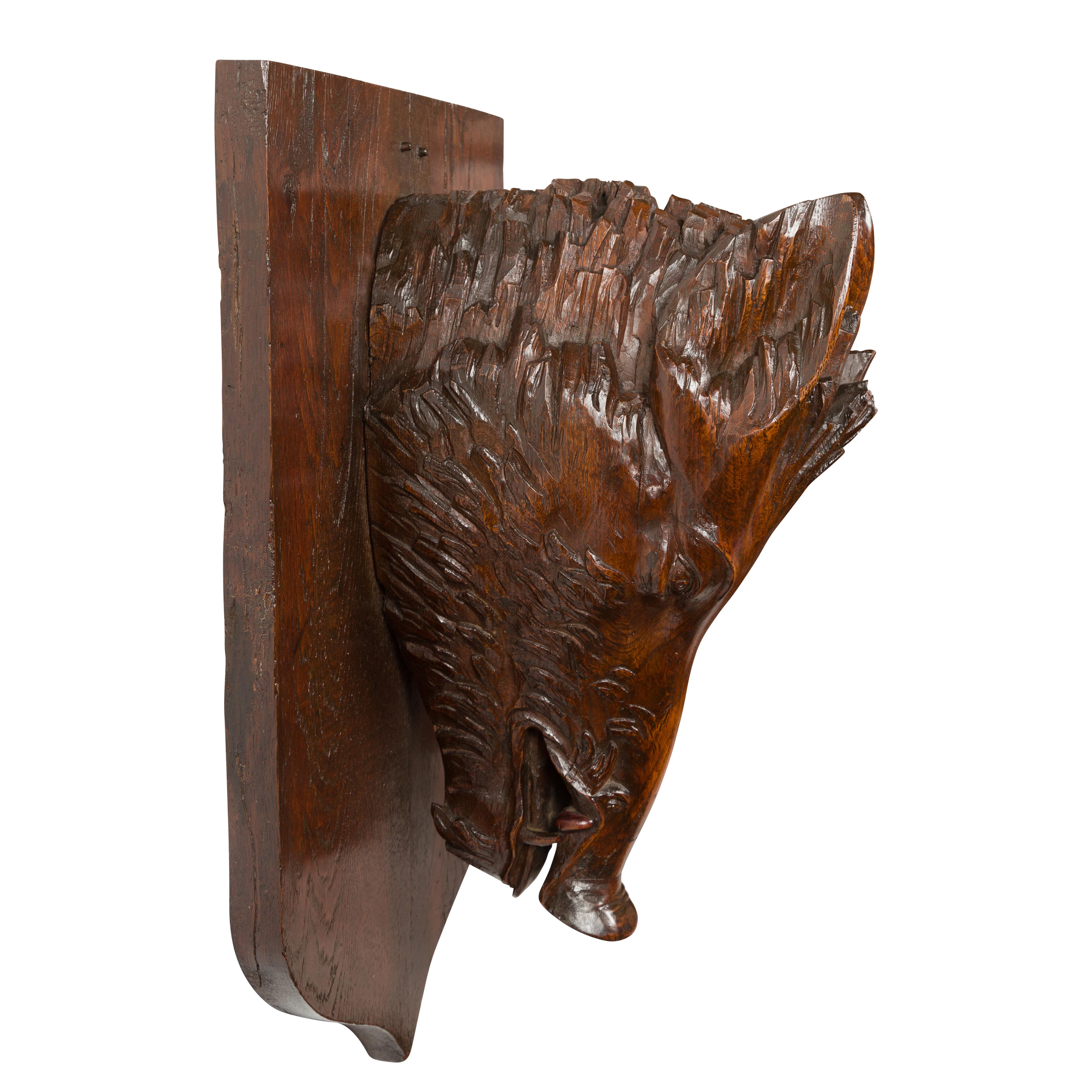 Tête de sanglier en bois sculpté des années 1920 sur dos en forme de bouclier