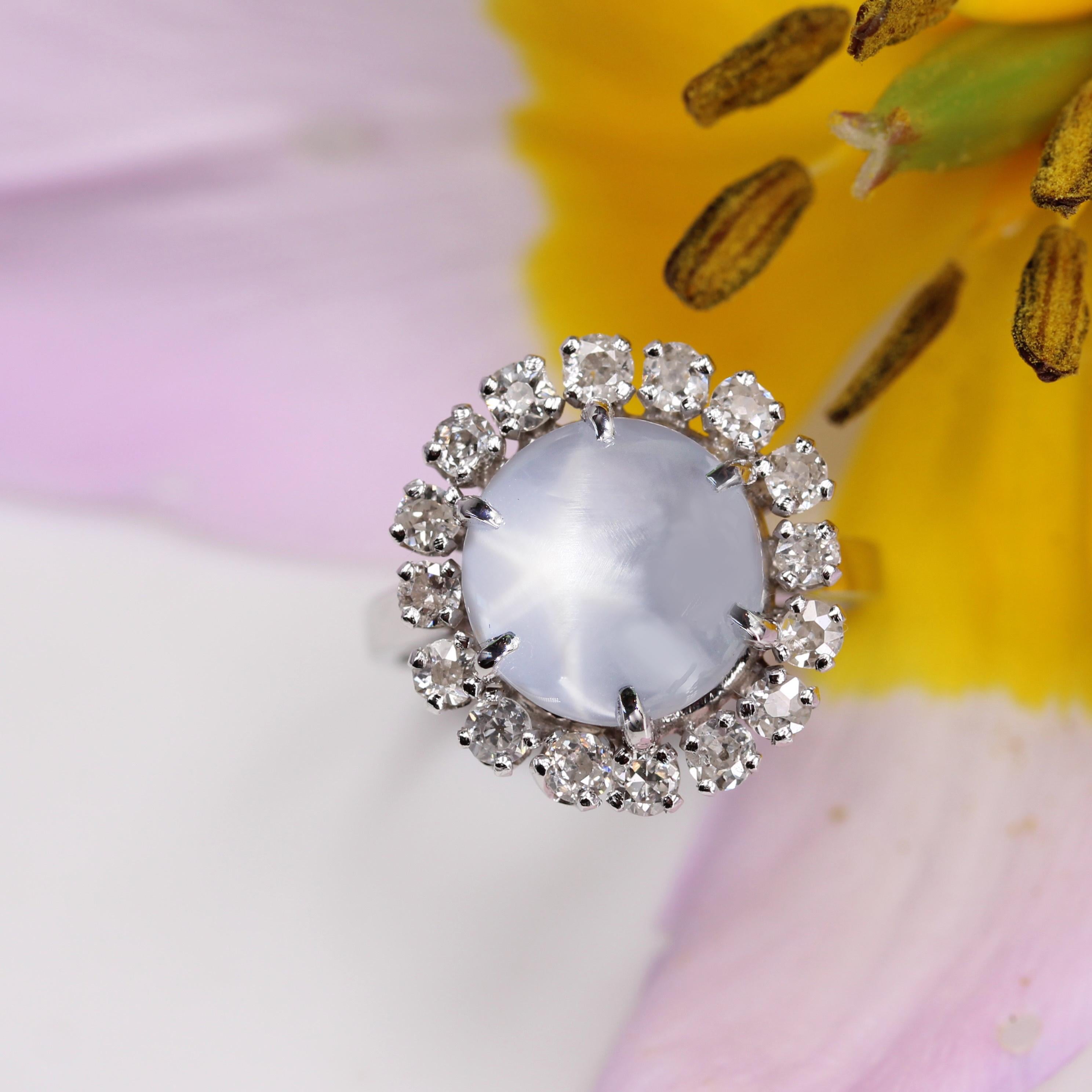 French 1950s Ceylon Star Sapphire Diamonds 18 Karat White Gold Cluster Ring For Sale 7