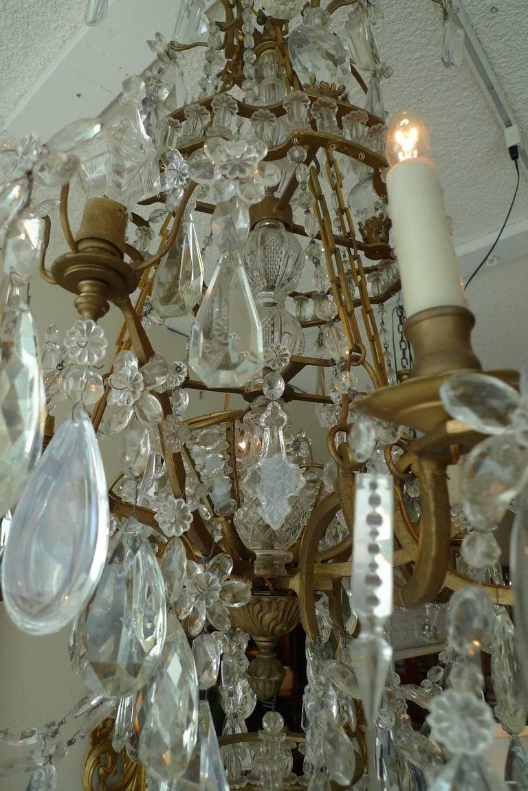 French 1950s Crystal and Glass Marie Therese Chandelier with Twelve-Light For Sale 5