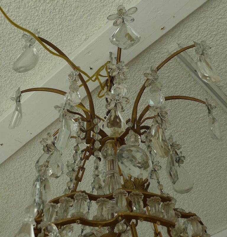 French 1950s Crystal and Glass Marie Therese Chandelier with Twelve-Light 6
