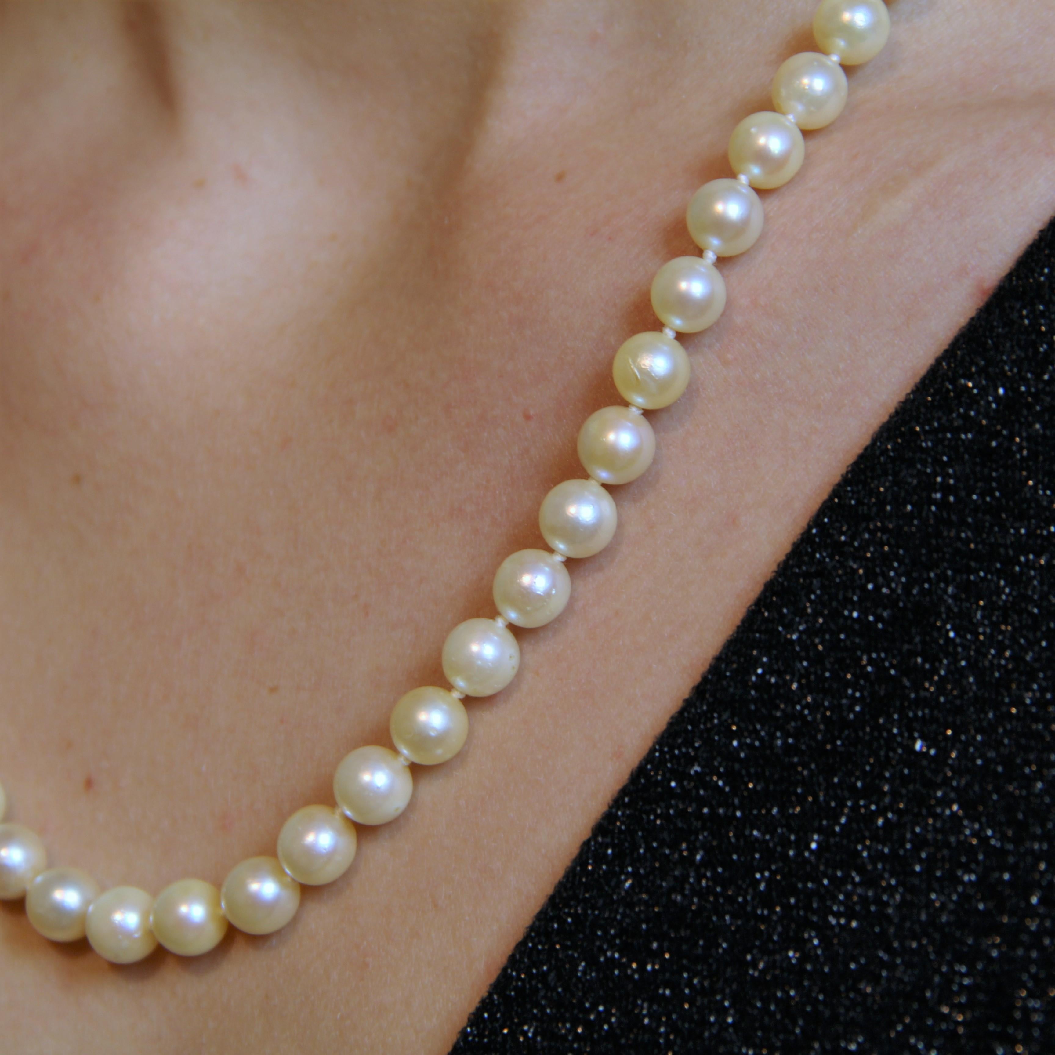 Collier ras du cou en perles de culture françaises des années 1950 en vente 4