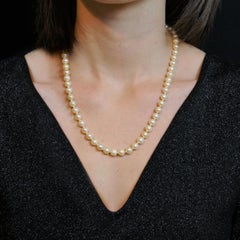 French 1950s Cultured Pearl Choker Necklace