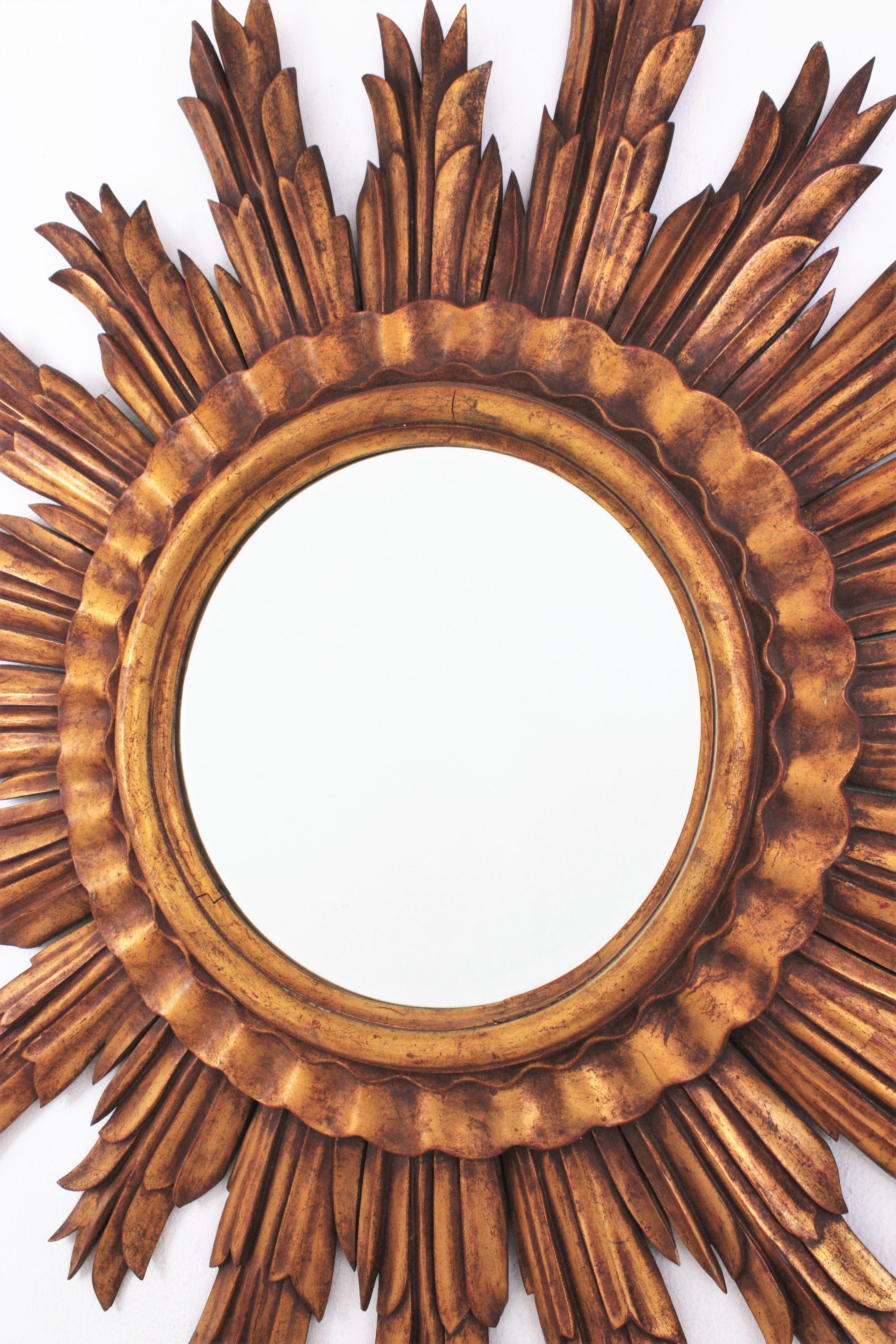 Large Gilt XXL Sunburst Mirror in Carved Wood, France, 1950s For Sale 4