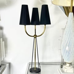 French 1950's Iron & Brass Triton Table Lamp