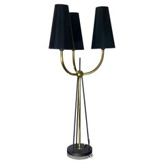 French 1950's Iron & Brass Triton Table Lamp