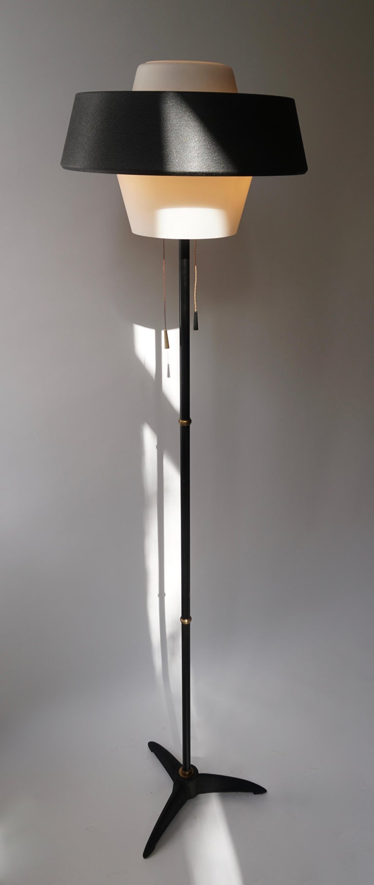 Rare Black Metal and Opaline Floor Lamp by Louis Kalff, The Netherlands ...