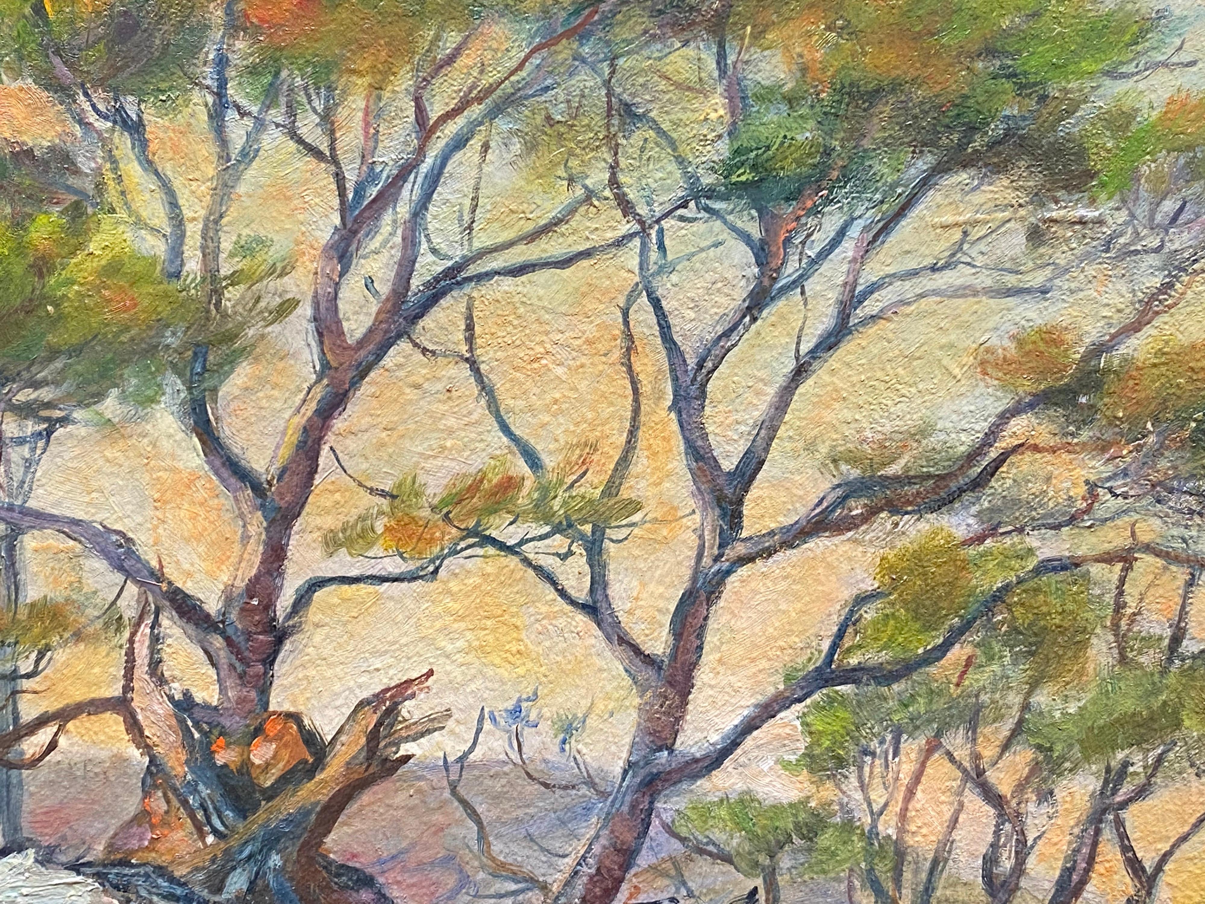 1950's French Impressionist Signed Oil - Trees in Provencal Landscape - Painting by French 1950's