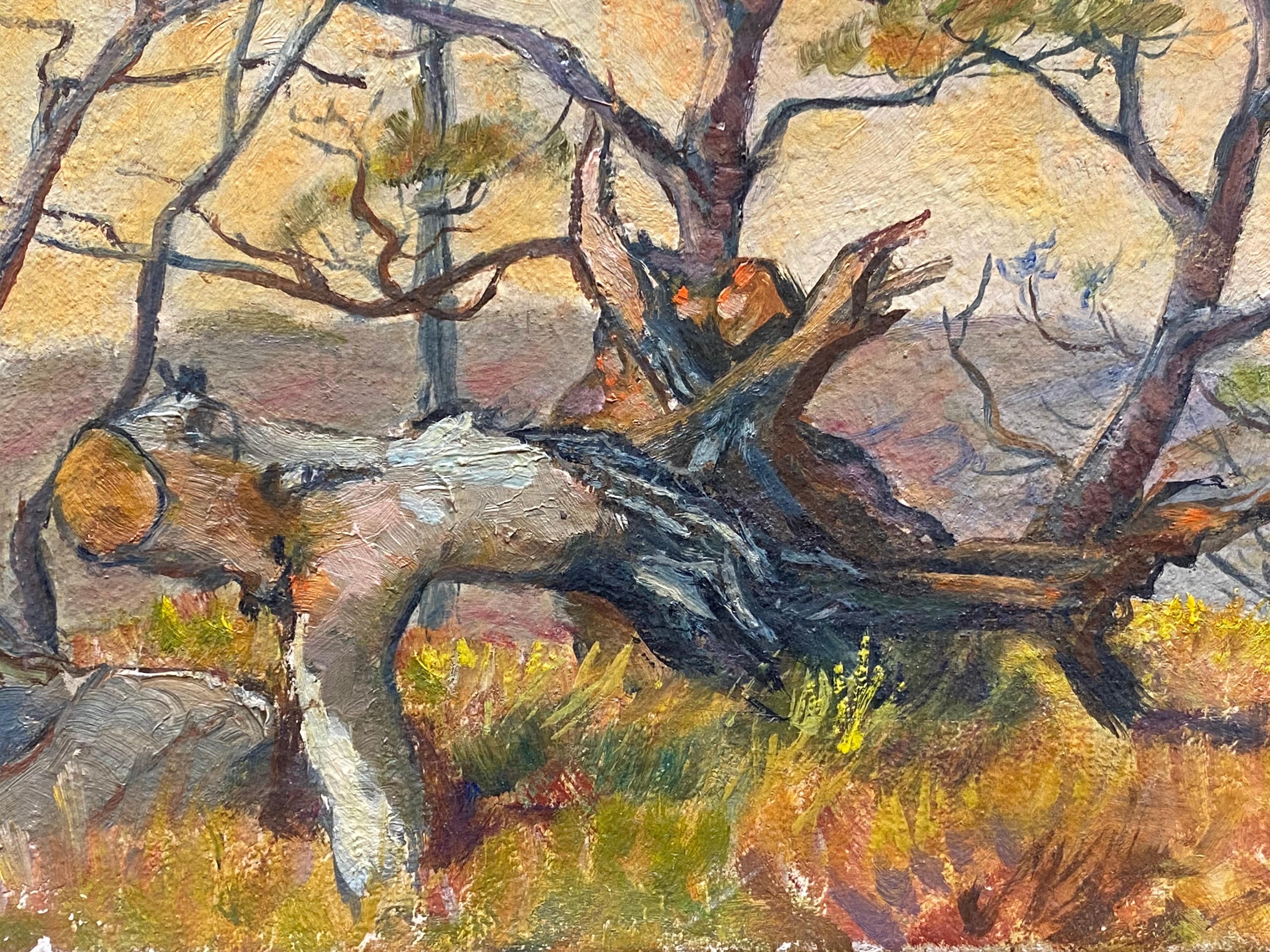 1950's French Impressionist Signed Oil - Trees in Provencal Landscape - Brown Landscape Painting by French 1950's