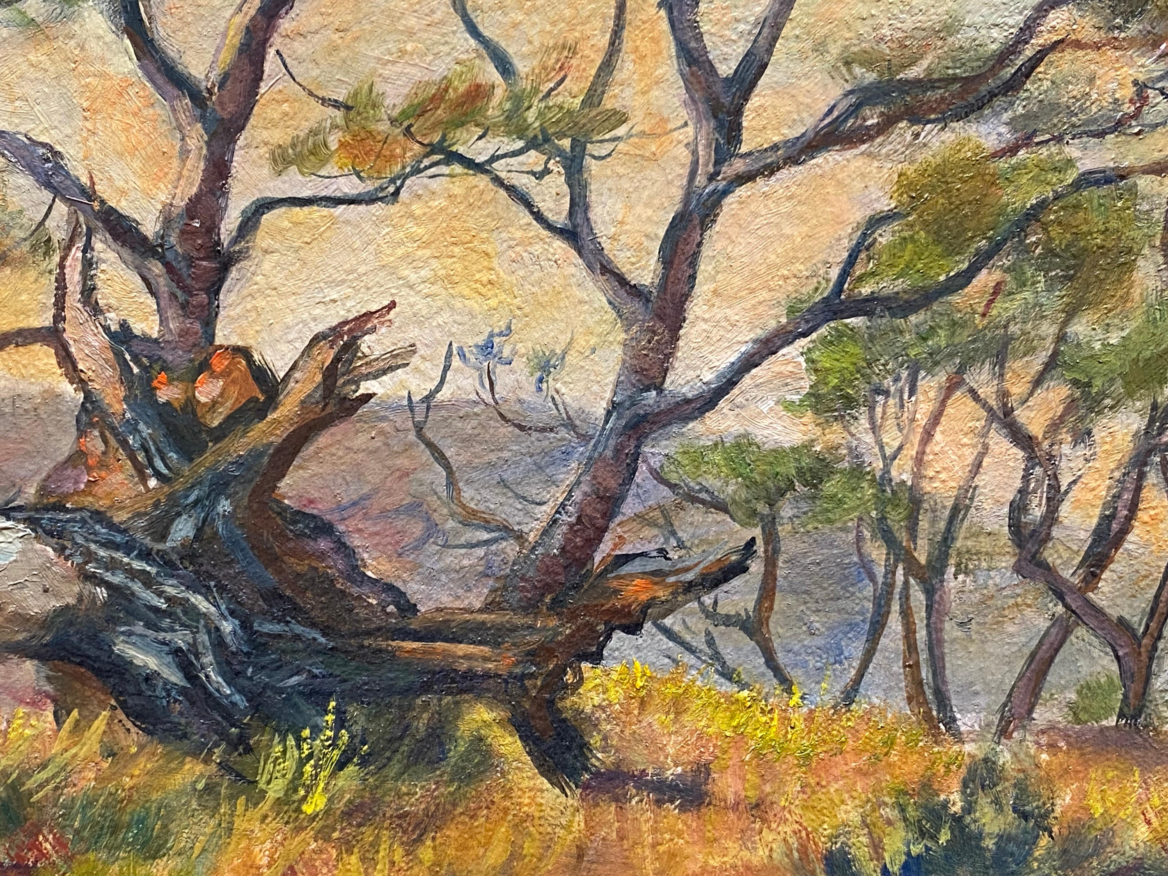 1950's French Impressionist Signed Oil - Trees in Provencal Landscape For Sale 1