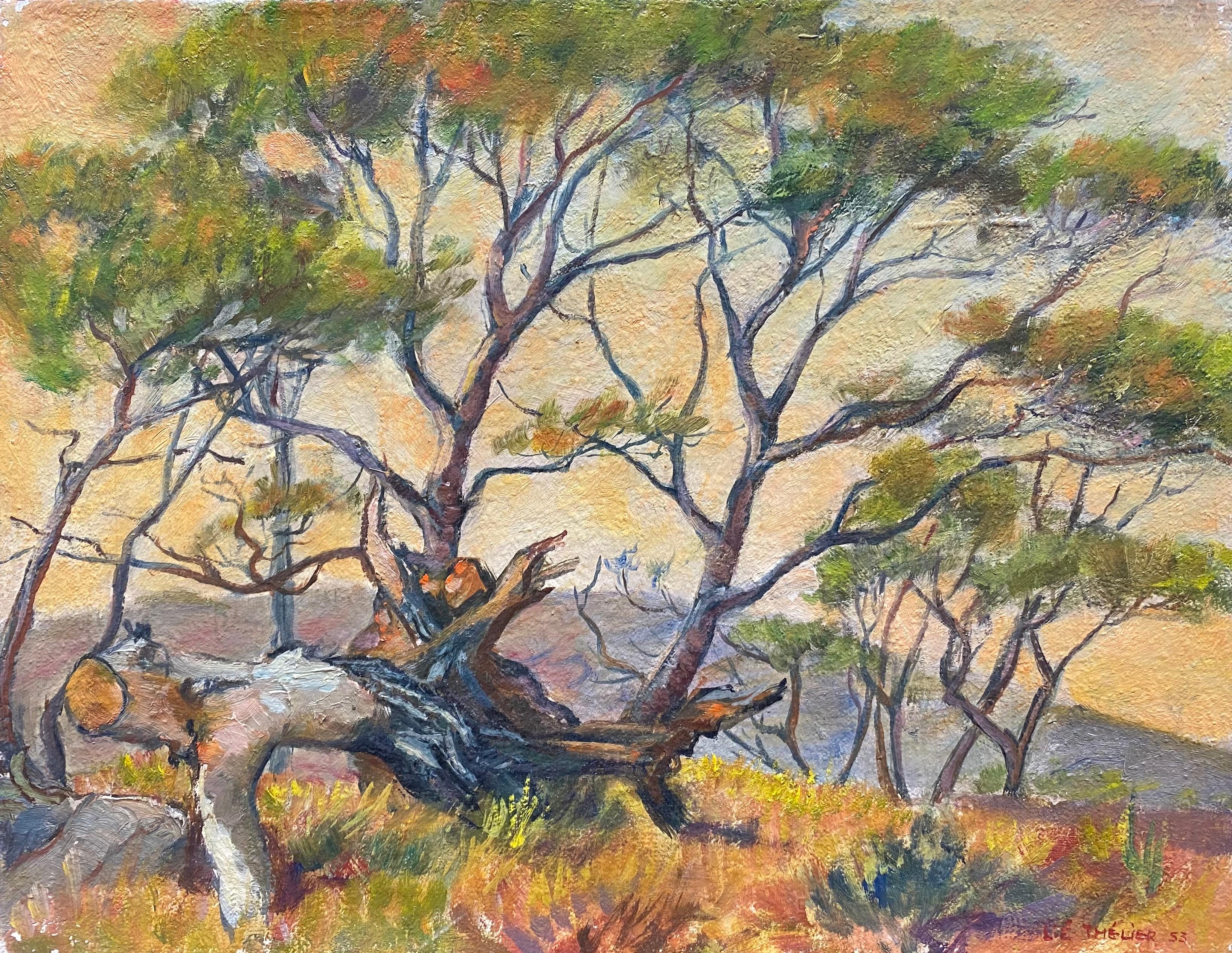 French 1950's Landscape Painting - 1950's French Impressionist Signed Oil - Trees in Provencal Landscape