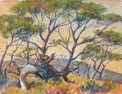 Vintage 1950's French Impressionist Signed Oil - Trees in Provencal Landscape