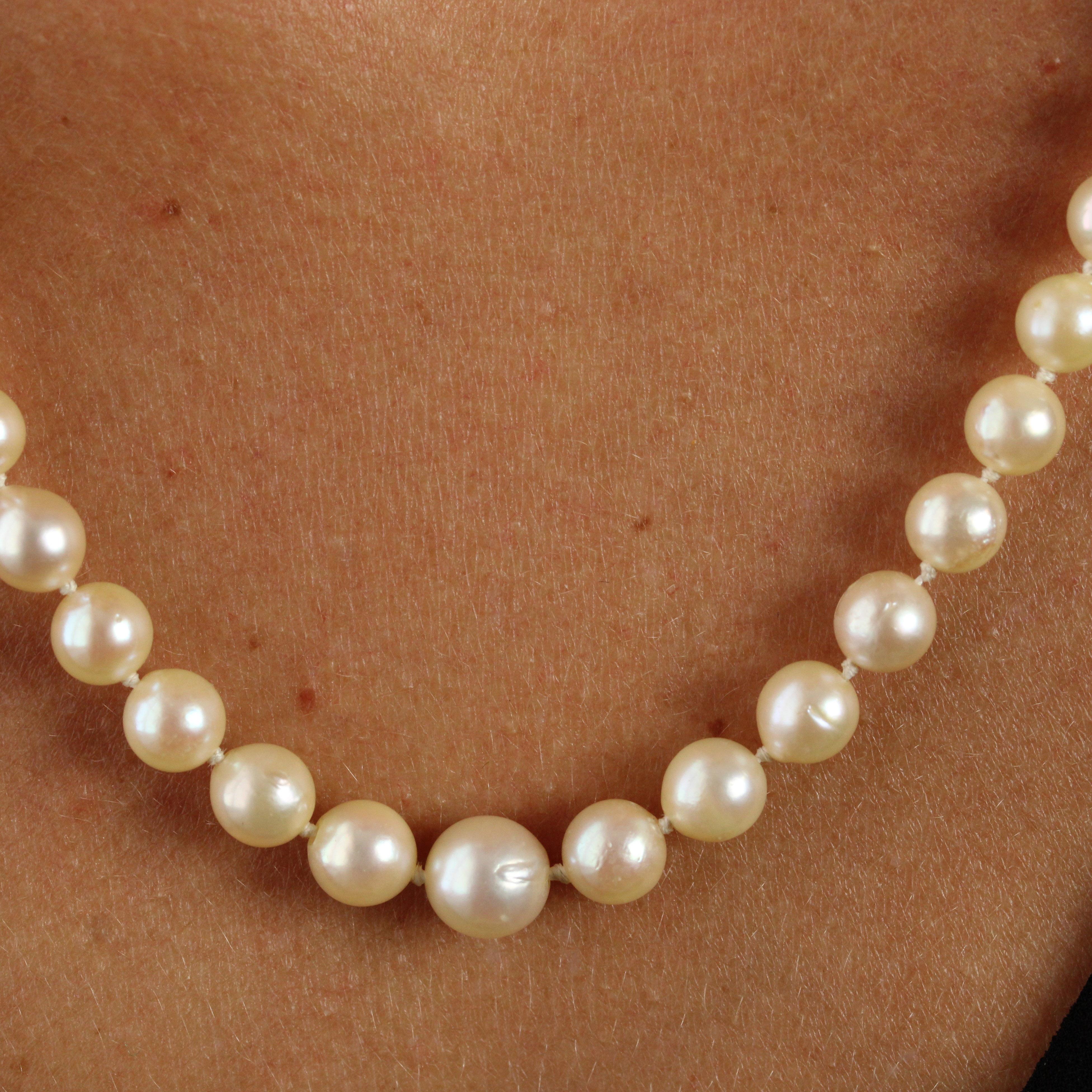 French 1950s Pearly Cream Cultured Pearl Falling Necklace For Sale 1
