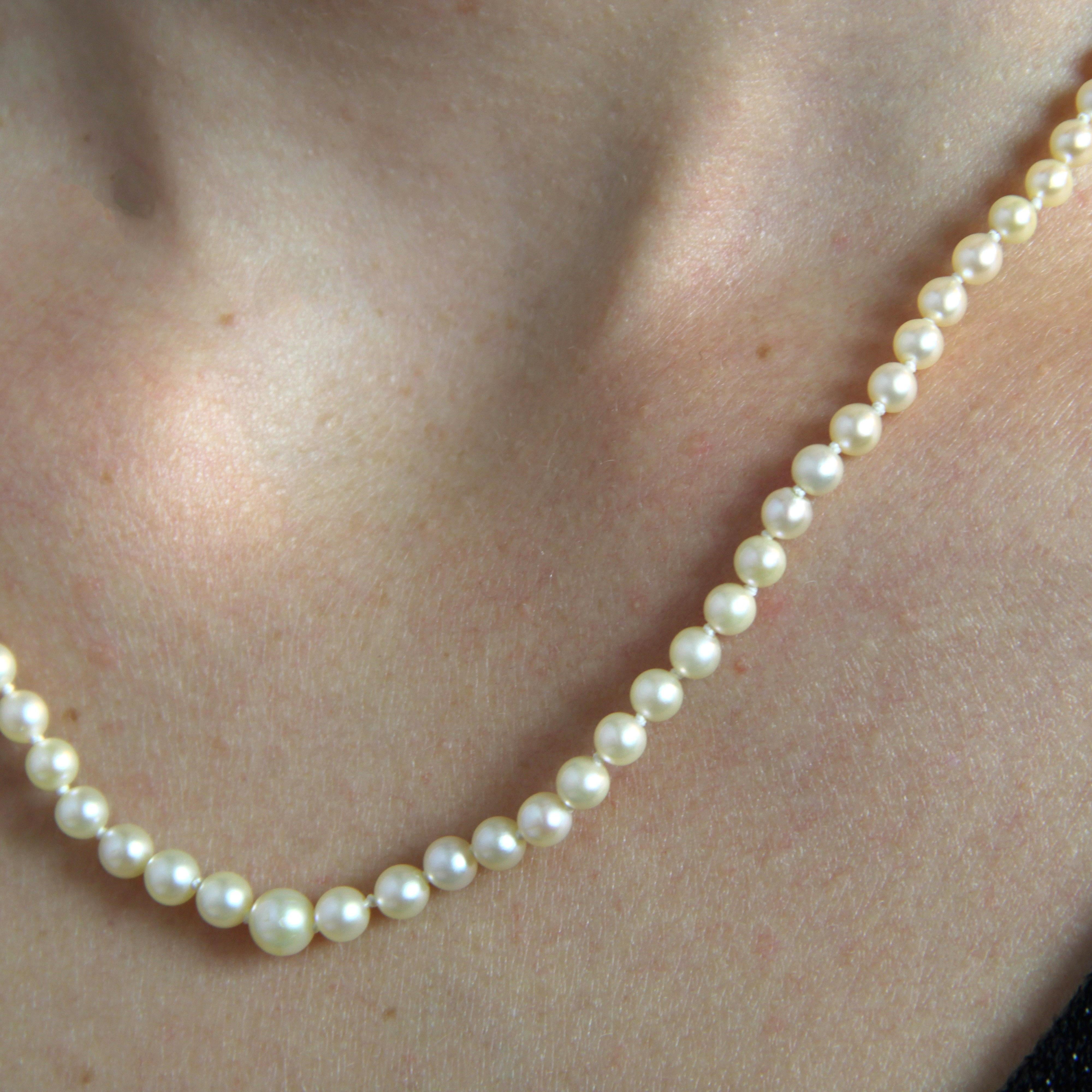French 1960s 18 Karat Yellow Gold Clasp Cultured Pearl Necklace 4