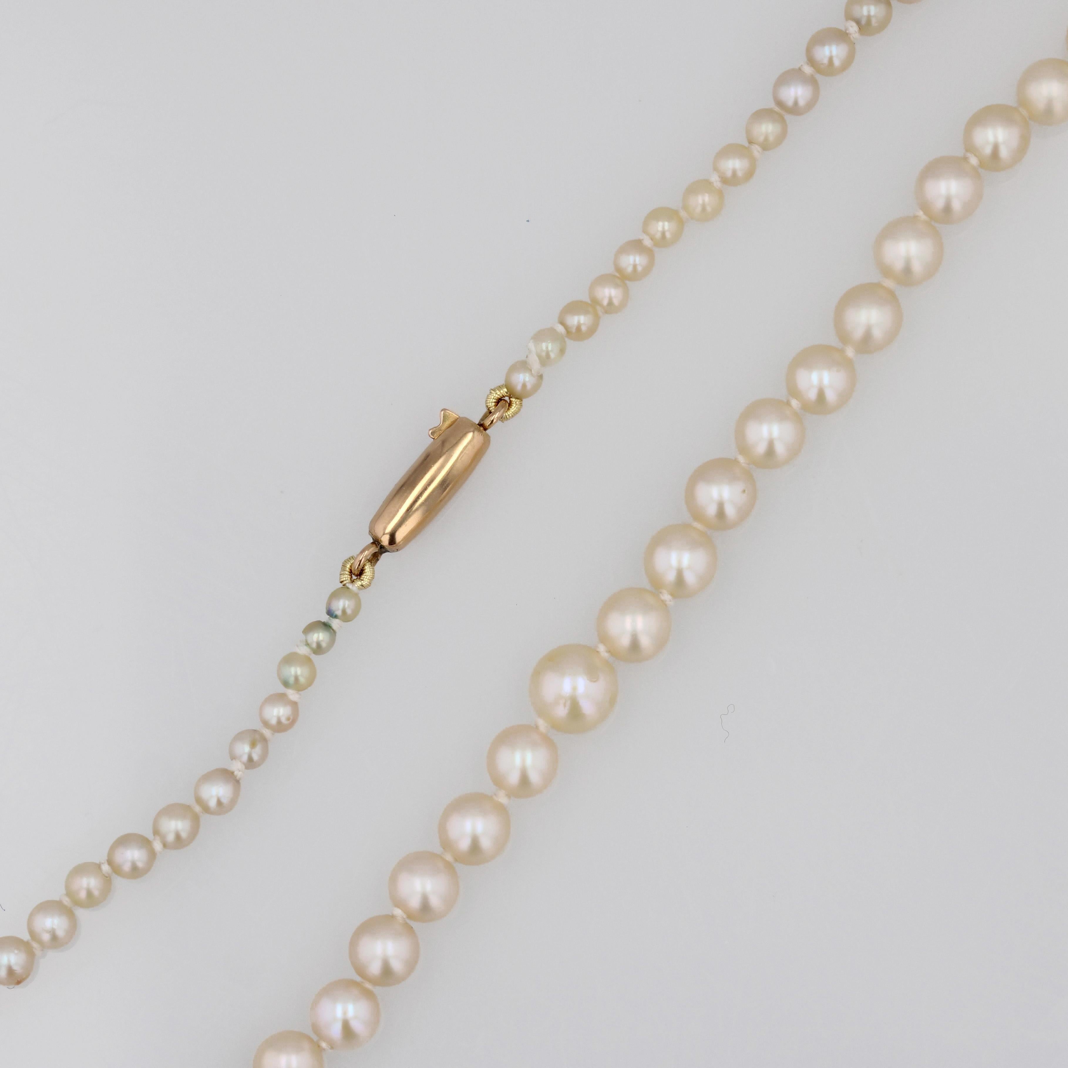 French 1960s 18 Karat Yellow Gold Clasp Cultured Pearl Necklace 8