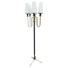 Used French 1960's 6-Light Brass & Painted Metal Floor Lamp