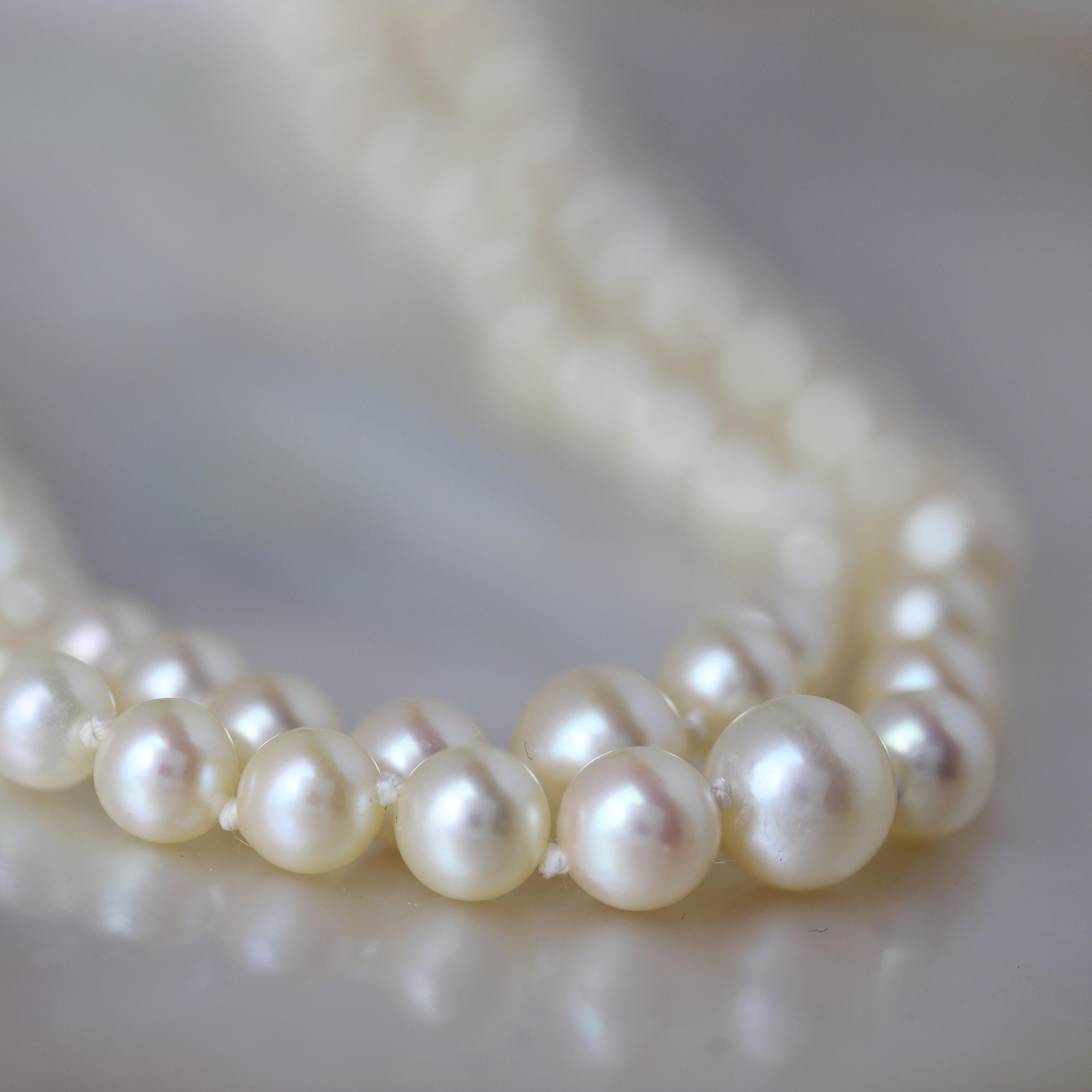 French 1960s Cultured Pearl 18 Karat Rose Gold Double Row Necklace For Sale 5