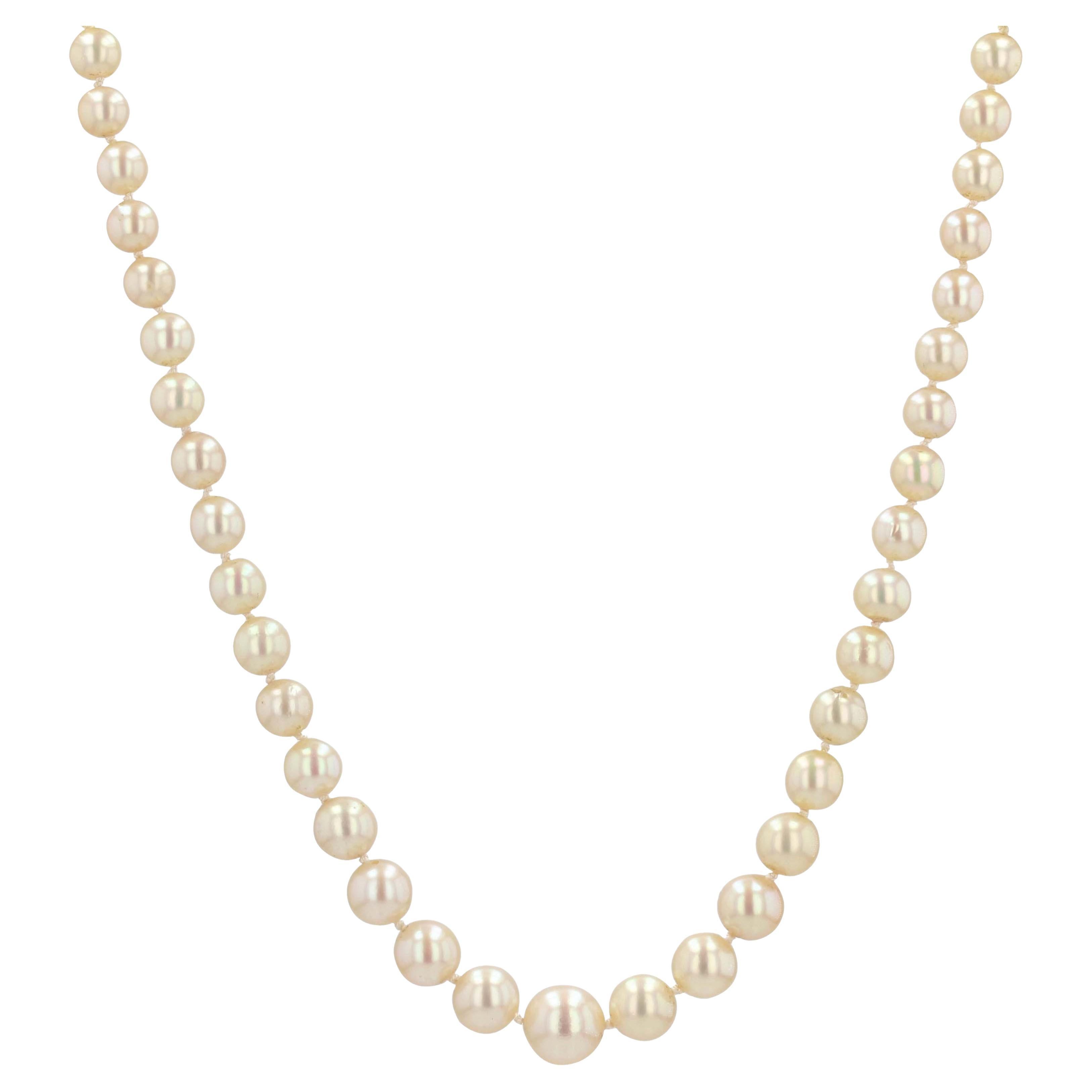 French 1970s Cultured Pearl 18 Karat White Gold Clasp Necklace For Sale