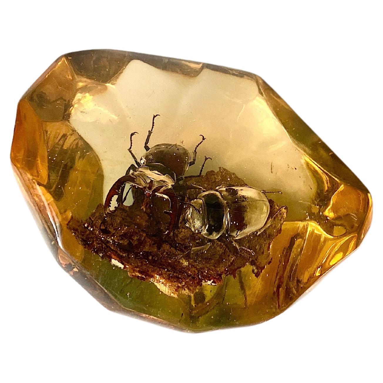 This item is a sculpture, made in France circa 1970. It is a cube of resin, with in the inside an inclusion of an beetles.