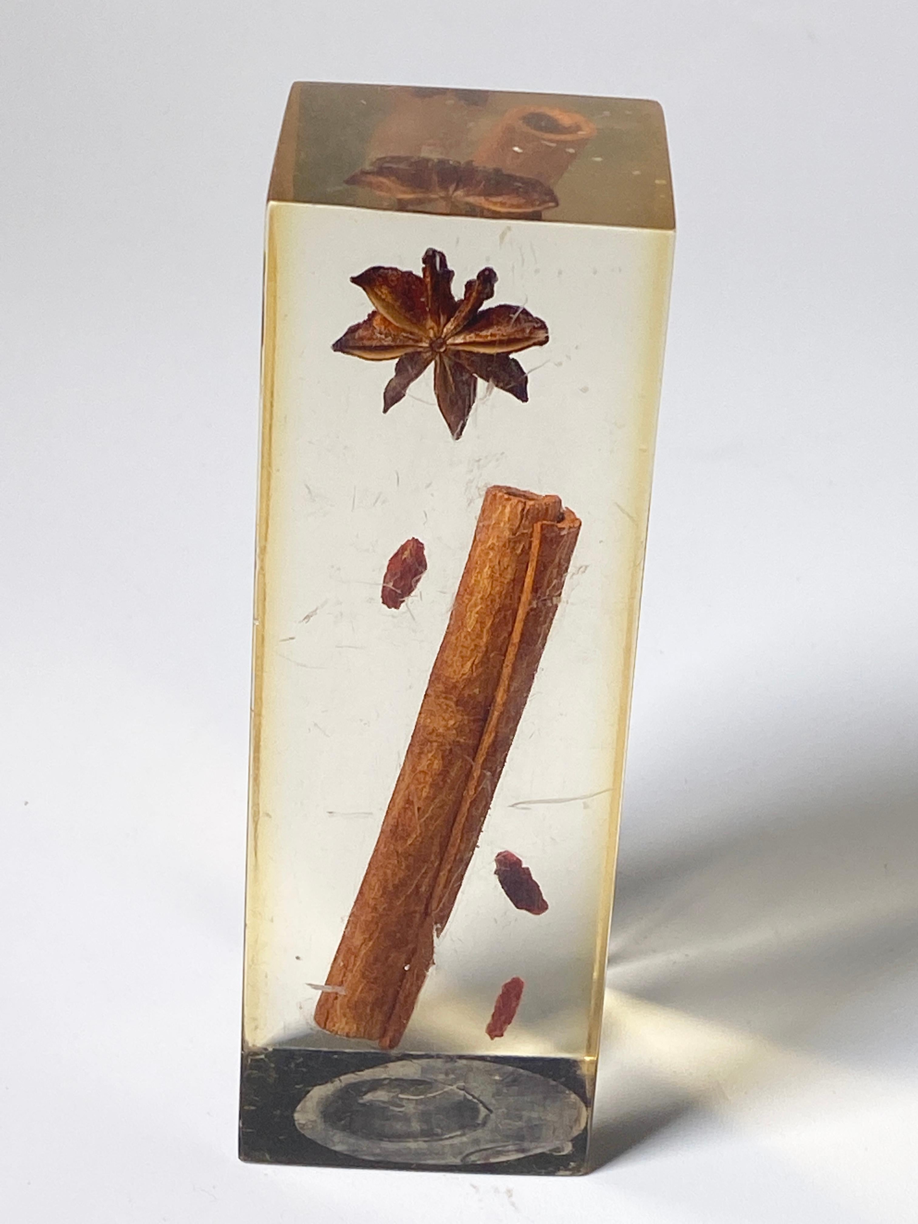 This resin, lucite sculpture, has an regangular form. Inside. It is an inclusion of a Vanilla plant.
This has been done in France circa 1970.
 