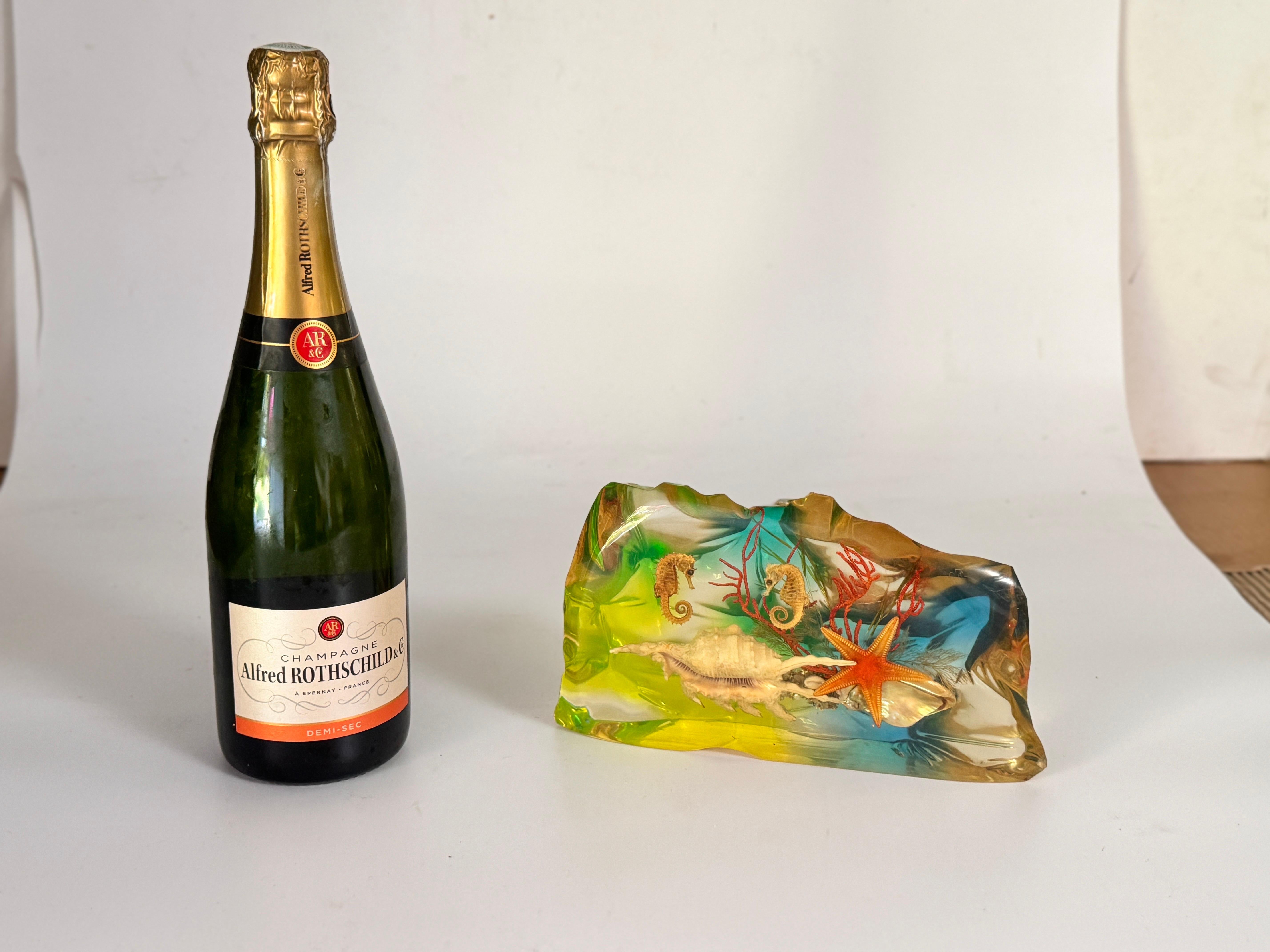 French, 1970s, Lucite Resin Cube Sculpture with with seashells andhyphocampi 