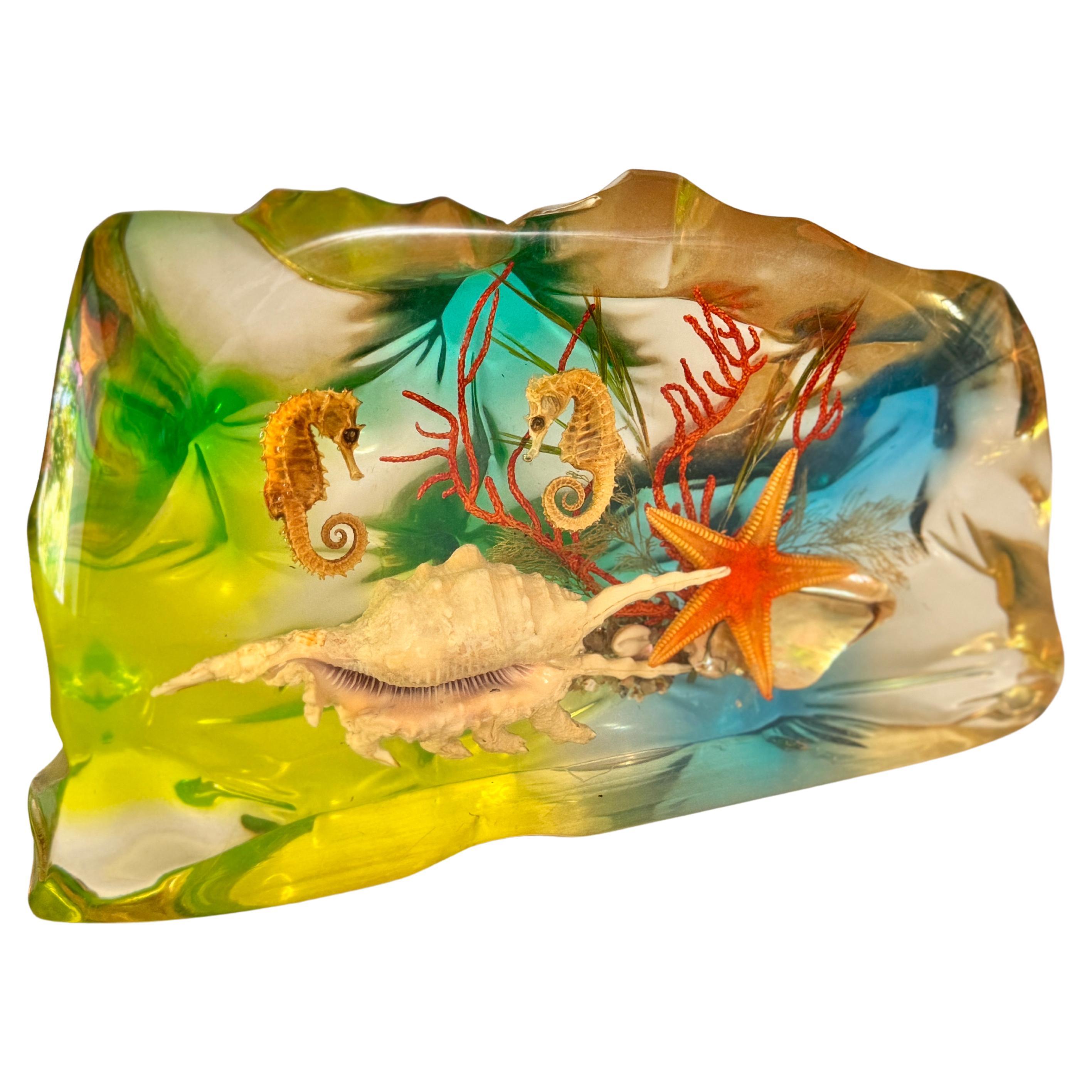 French, 1970s, Lucite Resin Cube Sculpture with with seashells andhyphocampi In Good Condition For Sale In Auribeau sur Siagne, FR