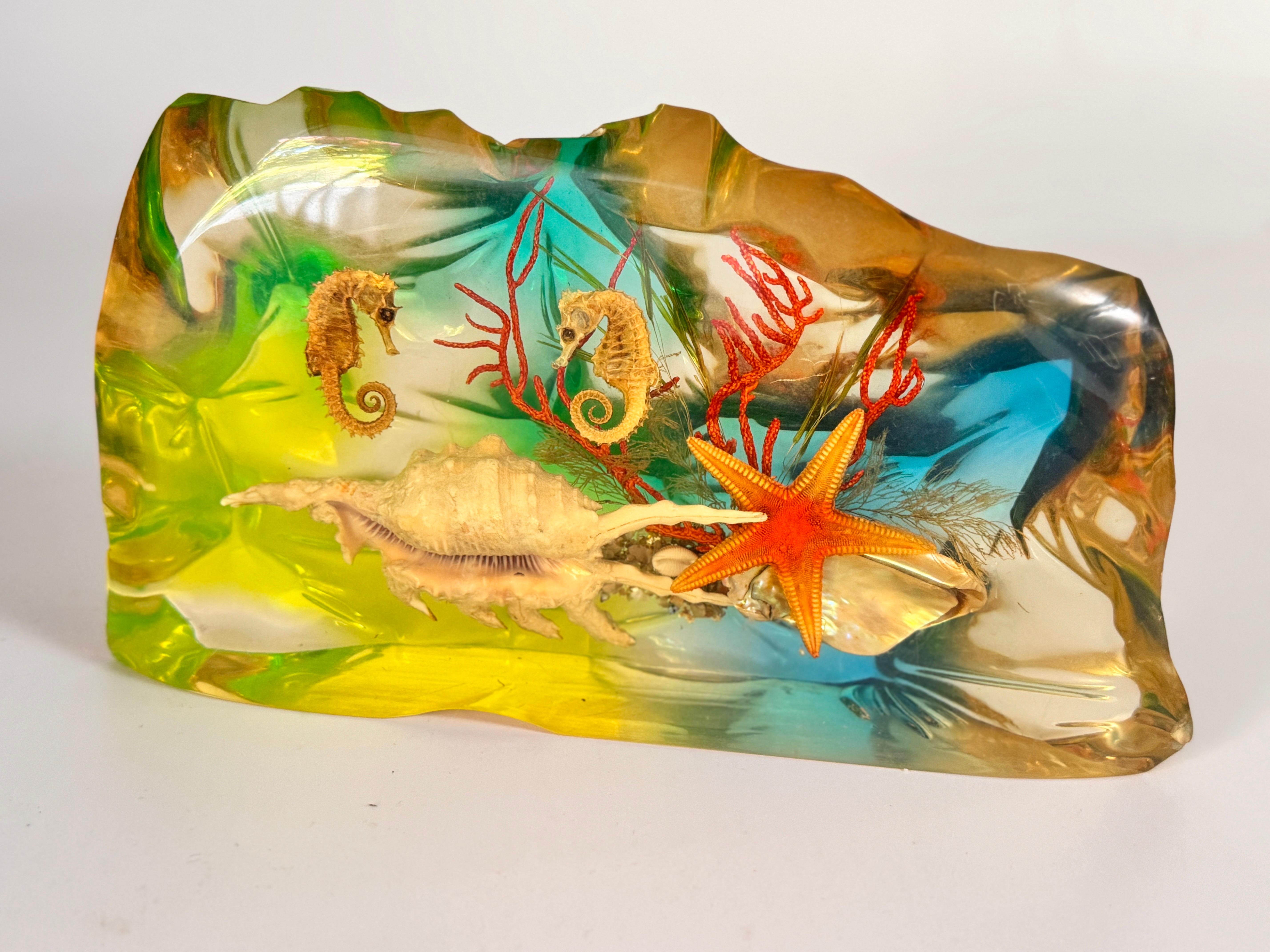 French, 1970s, Lucite Resin Cube Sculpture with with seashells andhyphocampi For Sale 2