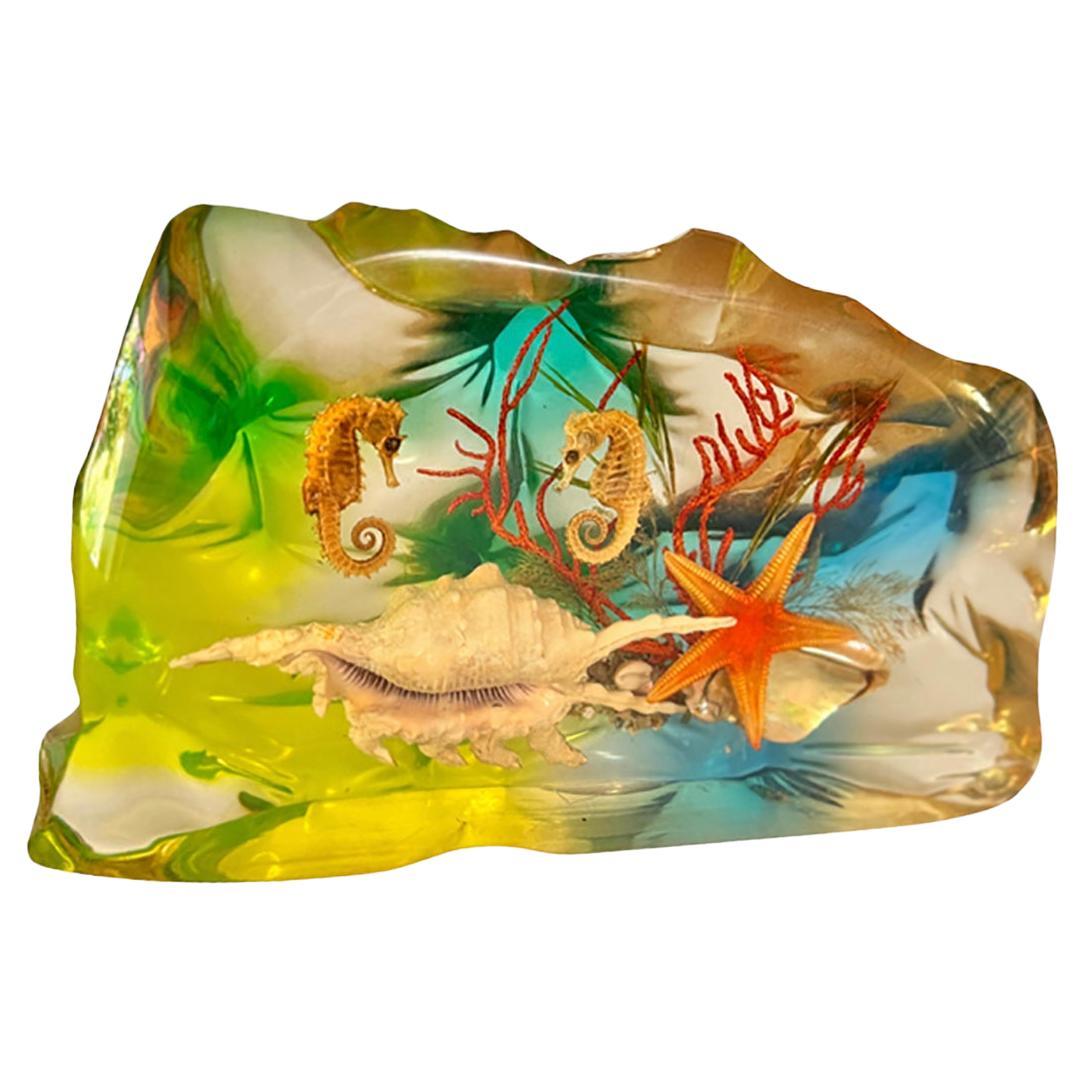 French, 1970s, Lucite Resin Cube Sculpture with with seashells andhyphocampi For Sale