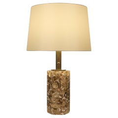 French 1970s Oyster Shell & Resin Table Lamp with Brass Fittings Midcentury