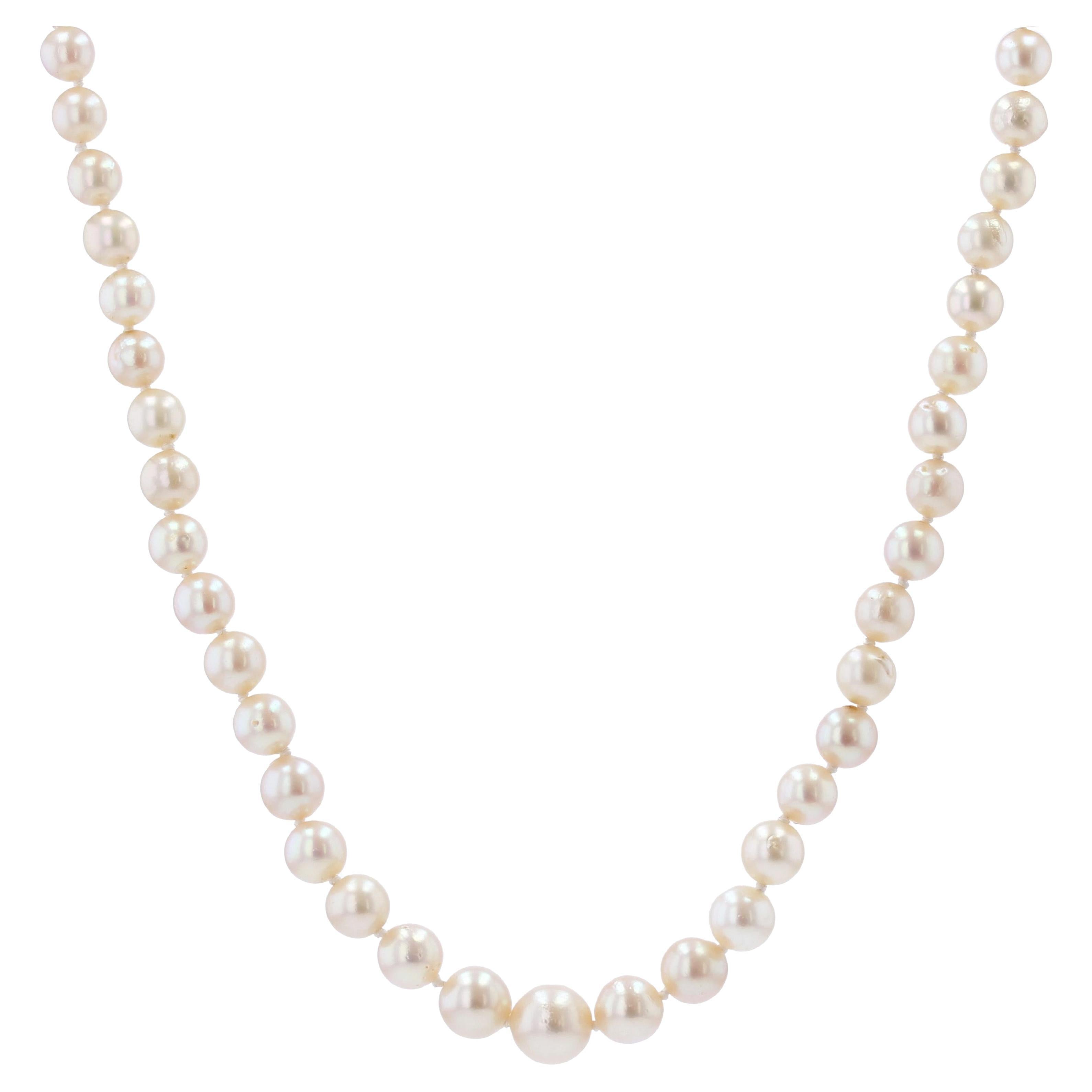 French 1980s 18 Karat Yellow Gold Clasp Cultured Pearl Necklace