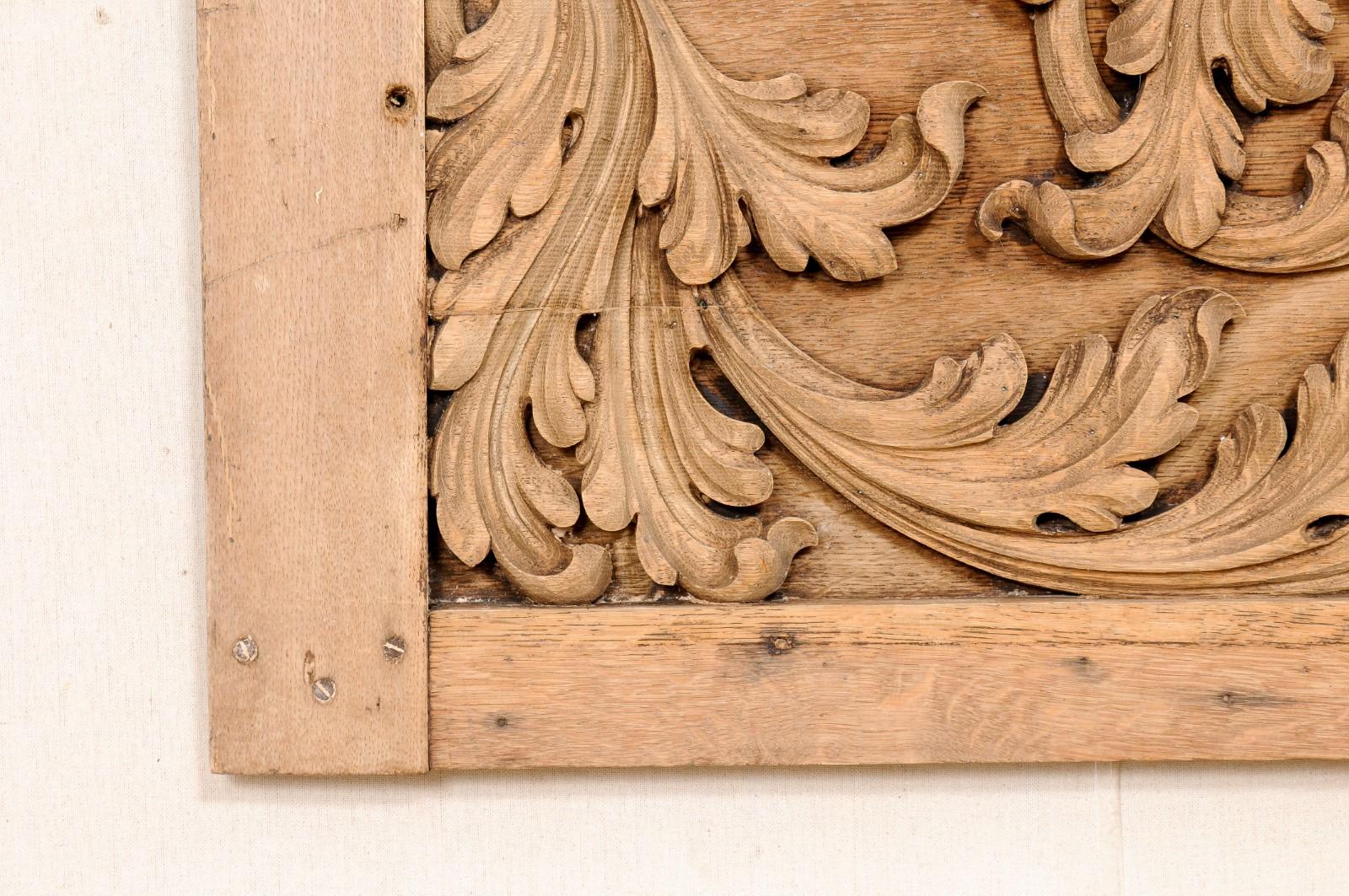 Französische Wandplakette aus geschnitztem Akanthusholz aus dem 19. Jahrhundert (ca. 4 Fuß breit) im Angebot 7