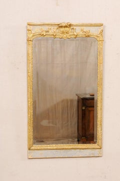 French 19th Century Carved & Painted Rectangular Mirror, Just Shy
