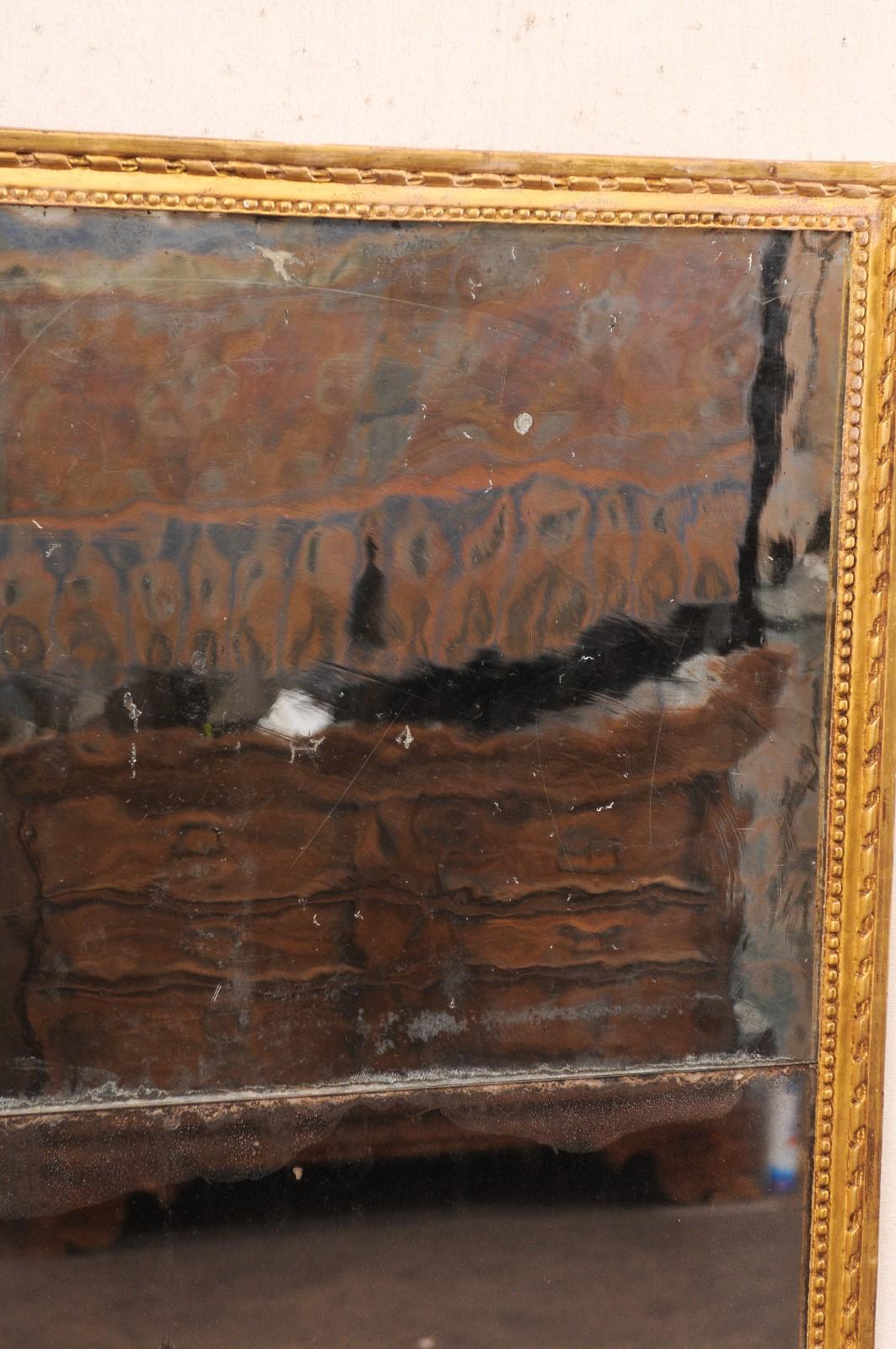 Wood French 19th C. Gilt Mirror w/Original 2-Piece Glass (Just Shy of 5 Ft Tall)